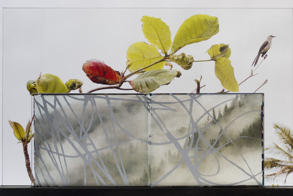 Branch Manager (detail), 2011, Silk-screened book, jet spray on laminated glass in steel base, 24.75 x 30.75 x 6 inches