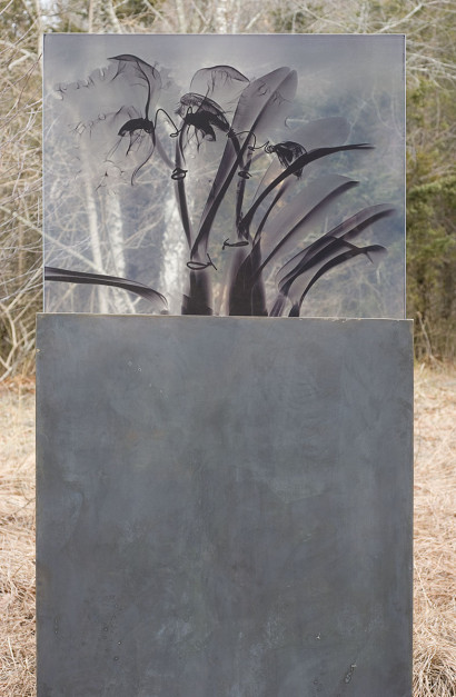 Orchid for Rose, 2009, jet spray on laminated glass, bronze base, 76.5 x 33 x 1 inches, Private Collection