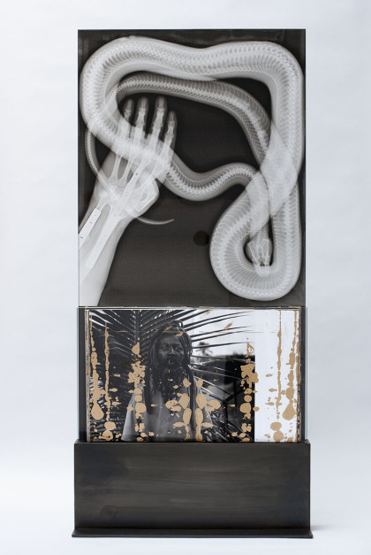Gold Rasta, 2012 , Silk-screened book, inkjet jet spray on laminated glass in steel base, 45 x 21 x 5 inches