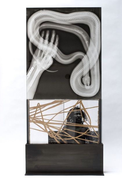 Gold Rasta, 2012 , Silk-screened book, inkjet jet spray on laminated glass in steel base, 45 x 21 x 5 inches