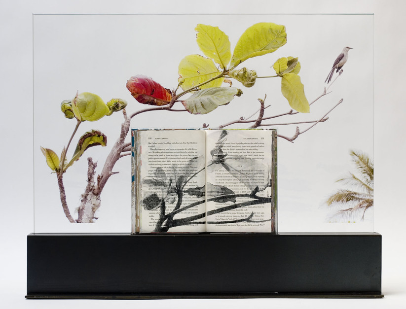 Library Branch, 2011, Silk-screened book, inkjet jet spray on laminated glass in steel base, 24.75 x 30.75 x 5 inches
