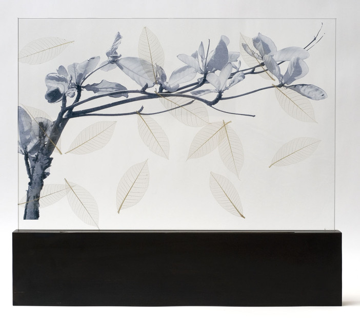 Re-Leaf (without book), 2010, jet spray on laminated glass in steel base, 23.5 x 27 x 2.5 inches