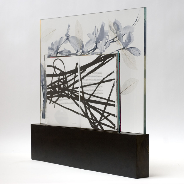 Re-Leaf, 2010, Silk-screened book, jet spray on laminated glass in steel base, 23.5 x 27 x 2.5 inches