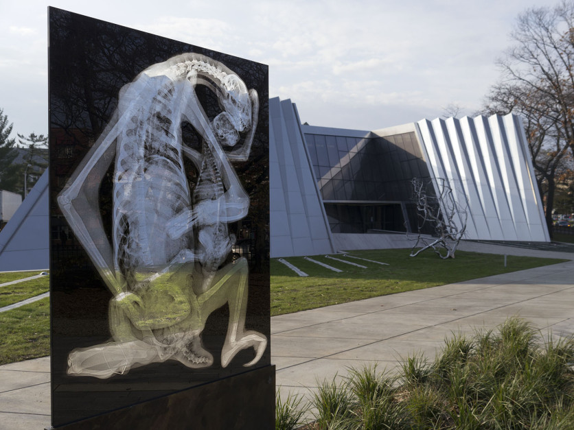 Sloth Pieta, 2012, inkjet jet spray on laminated glass in steel base, 82 x 37.25 x 1.125 inches, Eli and Edith Broad Art Museum Collection.