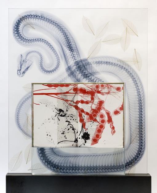 Snake Leaves (detail), 2011, Silk-screened book, jet spray on laminated glass in steel base, 45 x 32 x 5 inches