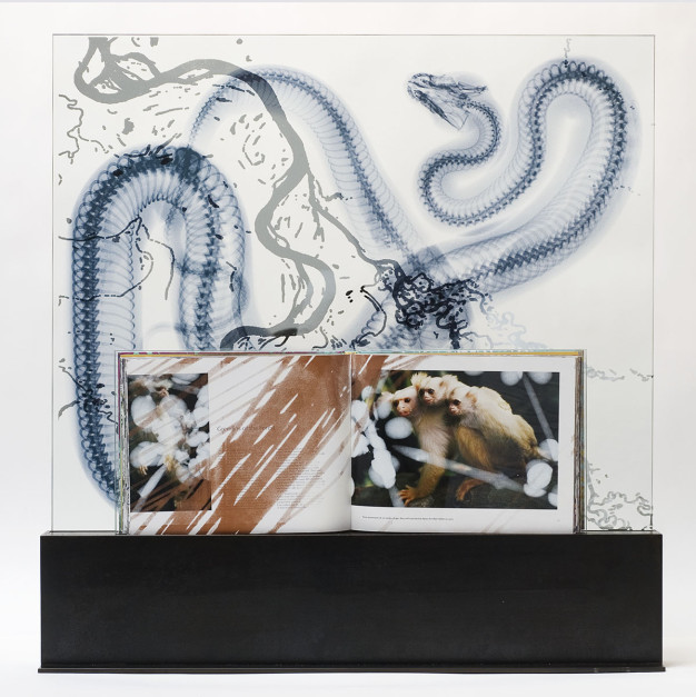Snake River, 2011, Silk Silk-screened book, inkjet jet spray on laminated glass in steel base, 29 x 28.5 x 6 inches