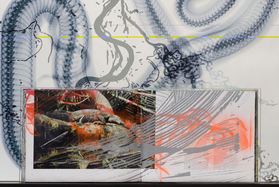 Snake River (detail), 2011, Silk-screened book, inkjet jet spray on laminated glass in steel base, 29 x 28.5 x 6 inches