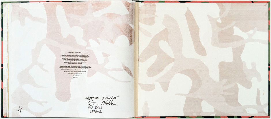 Amazon Analysis, unique, 2014. inkjet and silkscreen on book, 17 1/4 x 20 inches (interior spread)