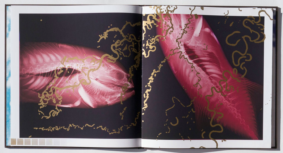 Liquid Earth, unique, 2012 inkjet and silkscreen on book, 17 3/8 x 16 3/8 inches (interior spread)