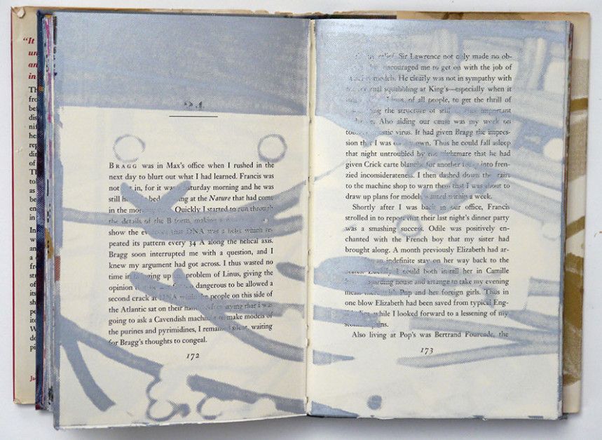 Double Helix #1, unique, 2012 silkcreen on book,  8 5/8 x 5 5/8 inches (interior spread)