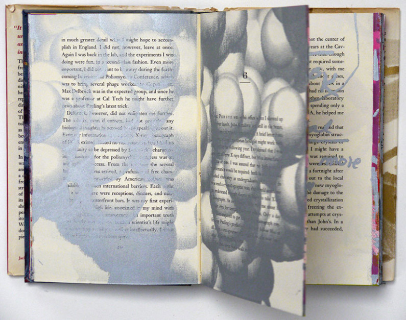 Double Helix #1, unique, 2012 silkcreen on book,  8 5/8 x 5 5/8 inches (interior spread)