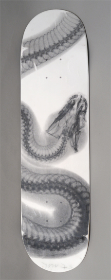 Skateboard: 002 Black Snake on White, 2015, silkscreen on skateboard, 8 x 31 1/2 inches