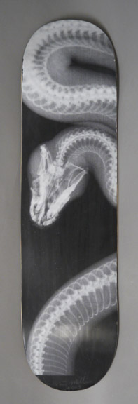 Skateboard: 003 White Snake on Black, 2015, silkscreen on skateboard, 8 x 31 1/2 inches