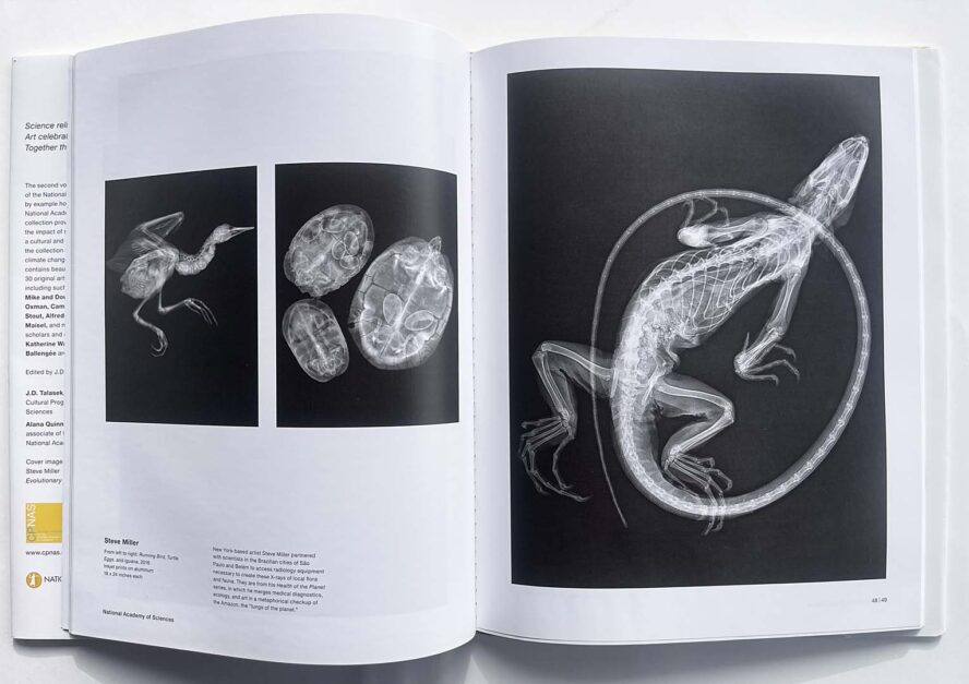 Convergence II, interior spread
