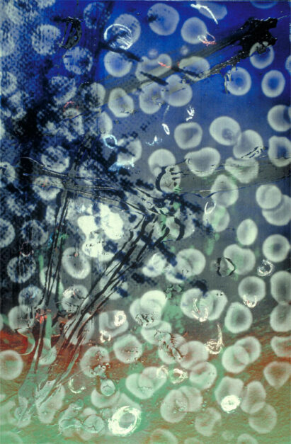 “Self-Portrait, blue, 1993. acrylic and silk-screen on canvas. 67 x 44 inches, 170 x 111 cm. French National Collection”