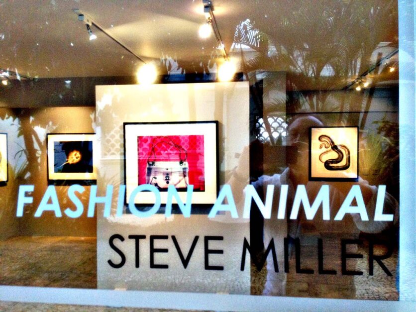 Installation View: Galleria Tempo, “Fashion Animal”, Rio de Janeiro, Brazil