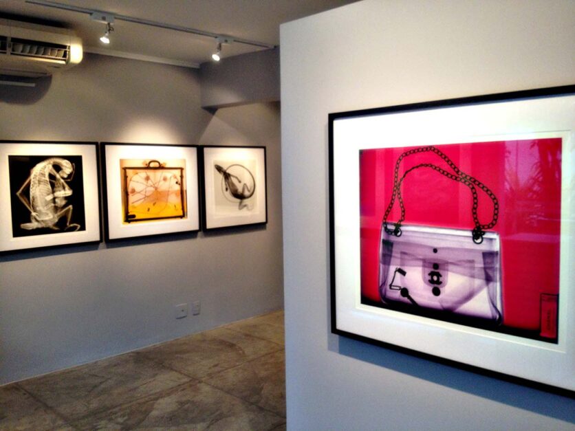 Installation View: Galleria Tempo, “Fashion Animal”, Rio de Janeiro, Brazil