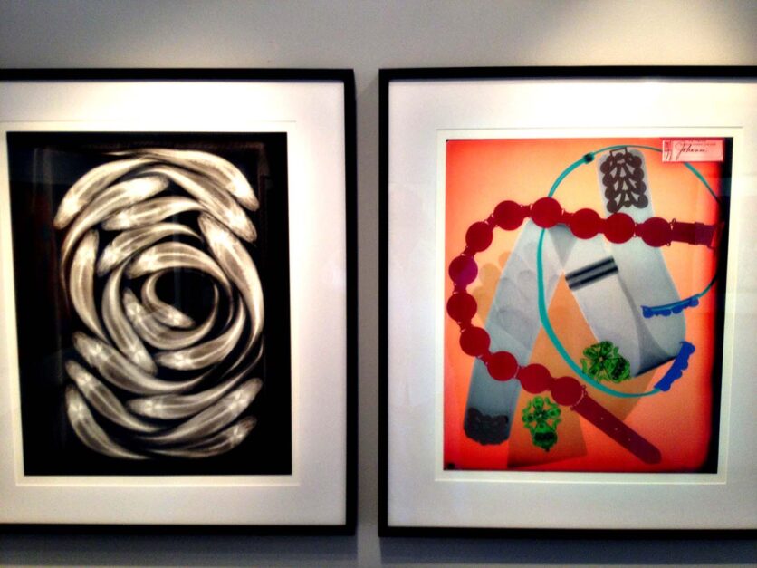 Installation View: Galleria Tempo, “Fashion Animal”, Rio de Janeiro, Brazil