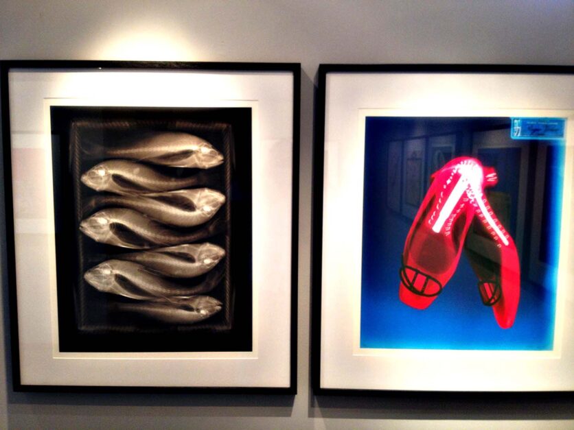 Installation View: Galleria Tempo, “Fashion Animal”, Rio de Janeiro, Brazil