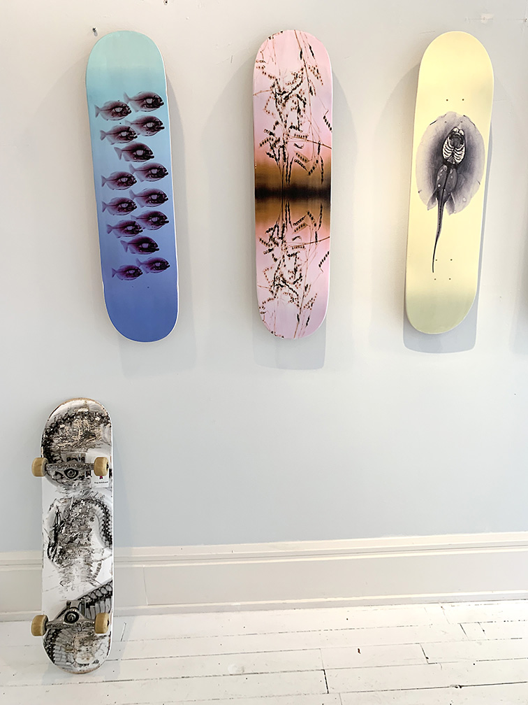 Steve Miller - Surf/Skate Book Signing