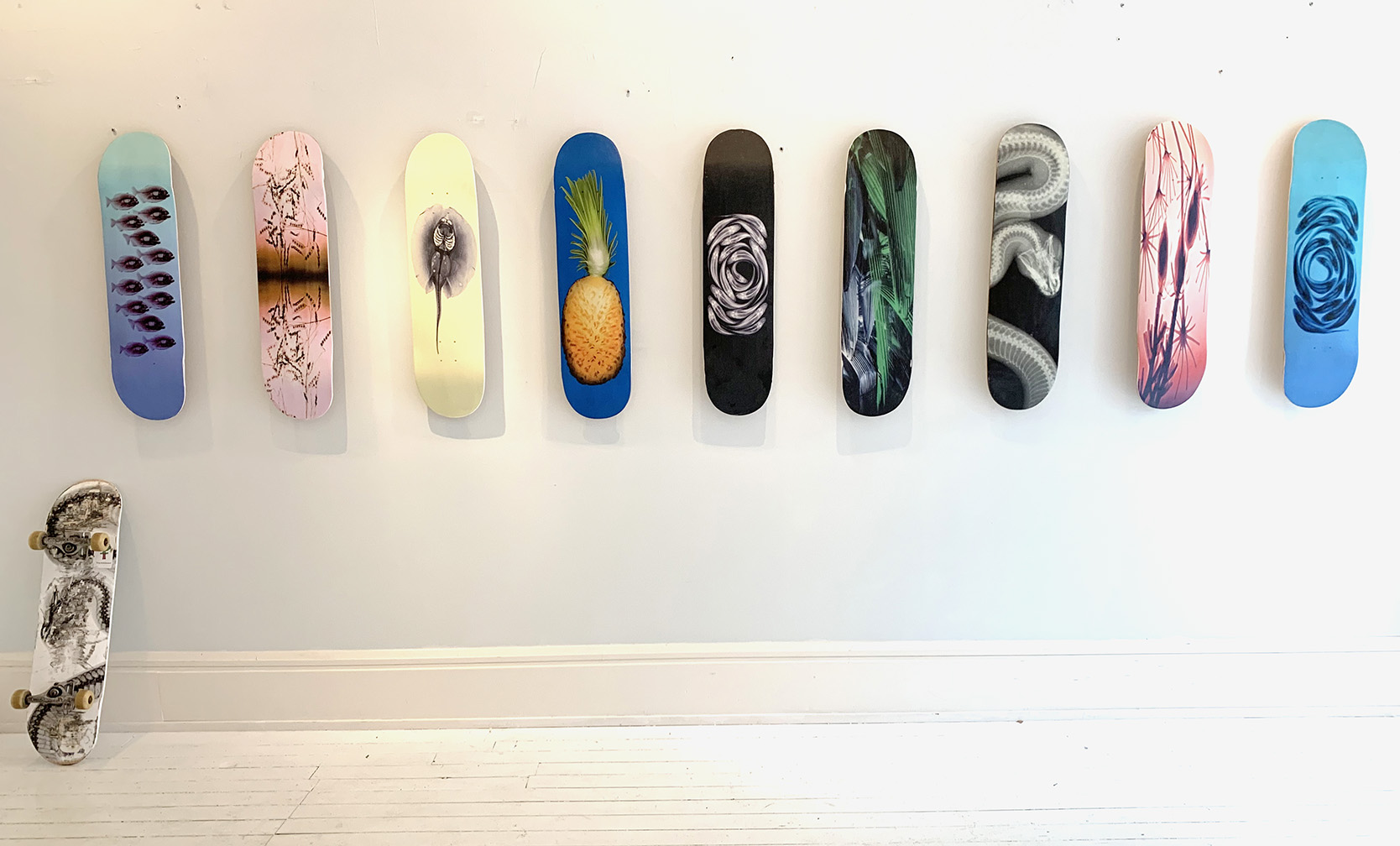 Steve Miller - Surf/Skate Book Signing