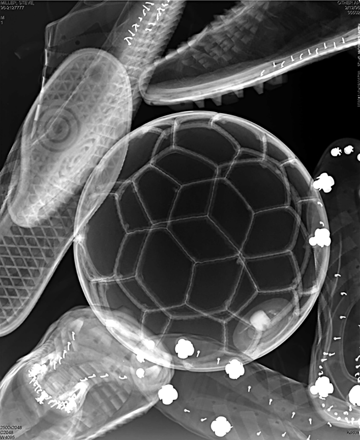 STEVE MILLER Nolte estrelada, 2007 St-arry IVight 102 183 cm c.6p,a de p grnenro em papel f otograf 'CO Har·nr:rn?h e 