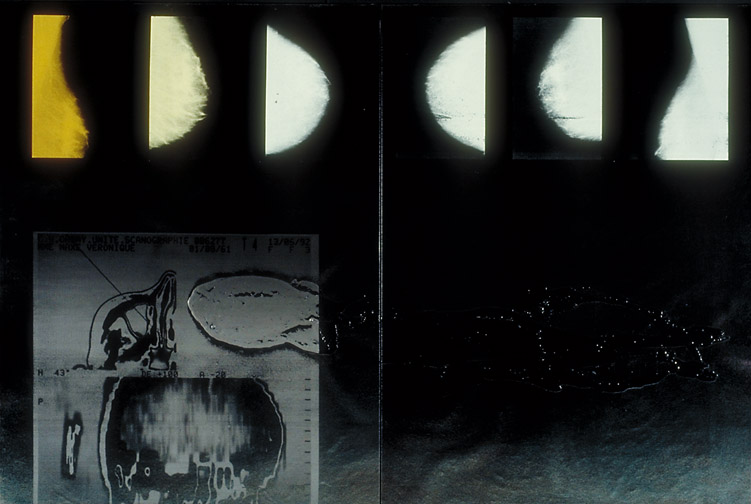 Veronique Maxe dyptich