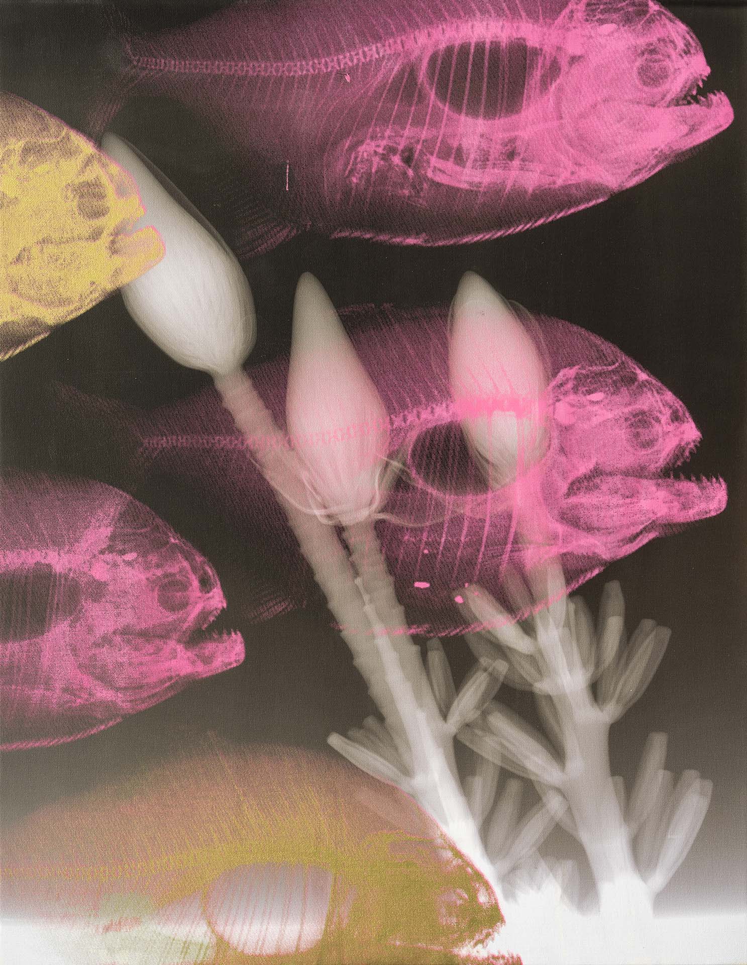 Steve Miller, Species On The Move, June 2019 Inkjet and silkscreen on canvas 27.5x21.5”