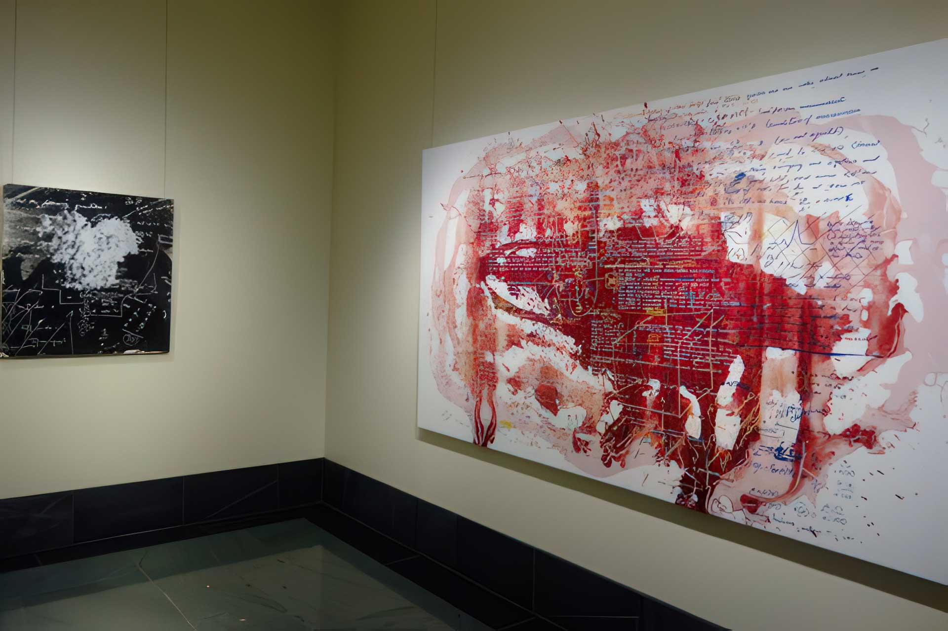 National Academy of Sciences “Crossing the Line”, installation view. National Academy of Sciences “Crossing the Line”, installation view.