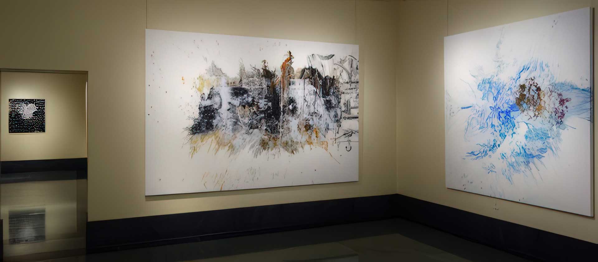 National Academy of Sciences “Crossing the Line”, installation view. National Academy of Sciences “Crossing the Line”, installation view.