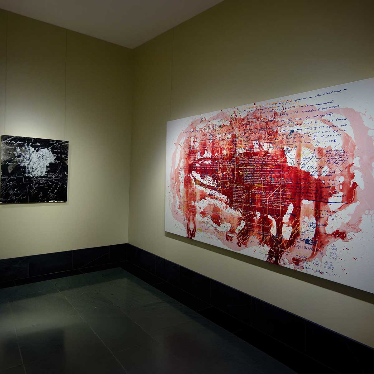 Steve Miller, Crossing the Line, National Academy of Sciences, 2013