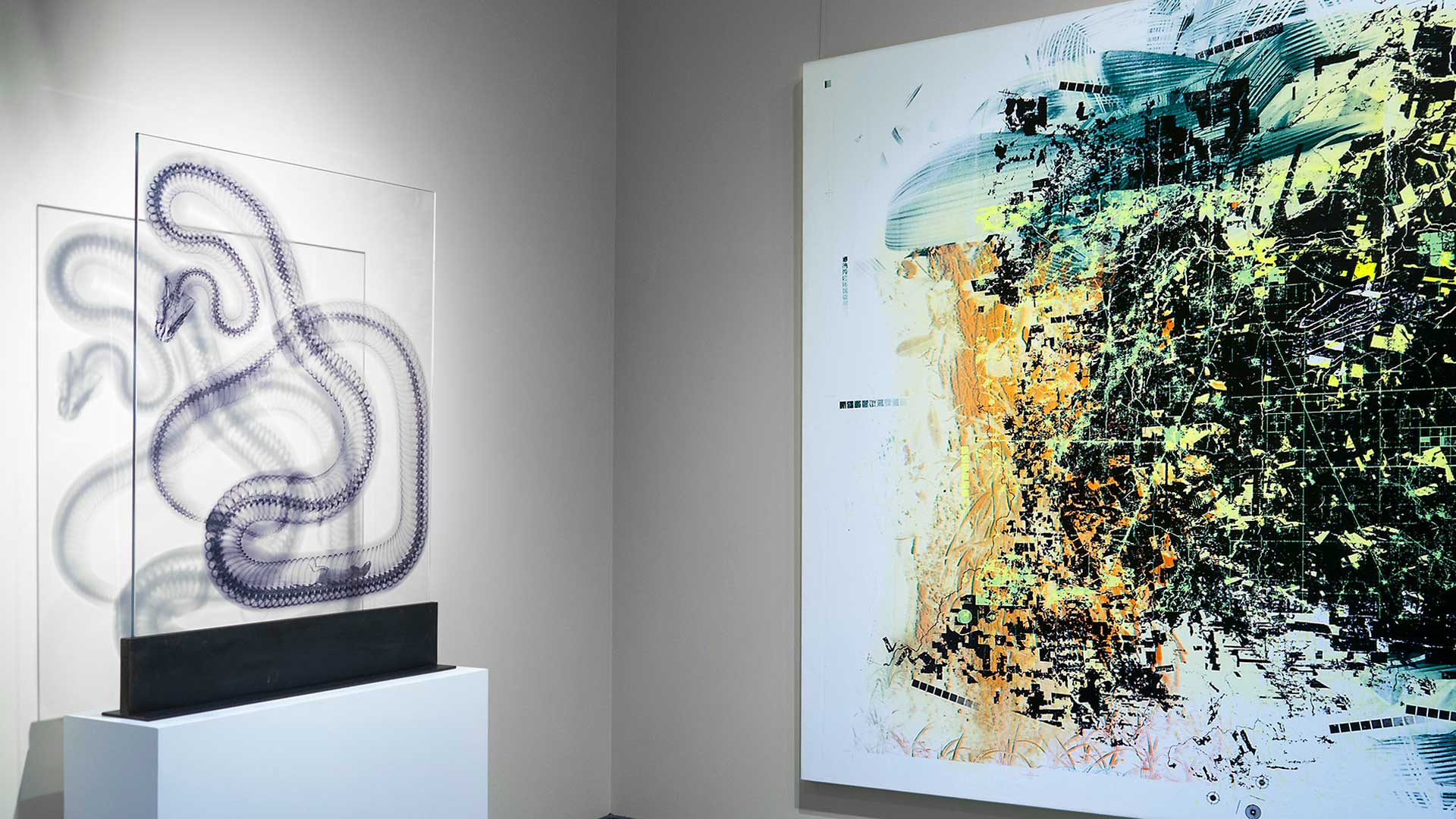 National Academy of Sciences, “Health of the Planet“, Washington DC. Installation view