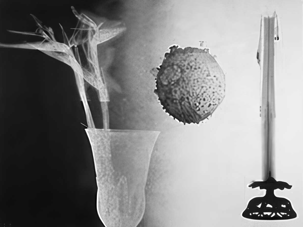 Steve Miller: Self-Portrait Vanitas, 1998. Mixed mediums on paper, 38 x 50 inches; at Universal Concepts Unlimited.