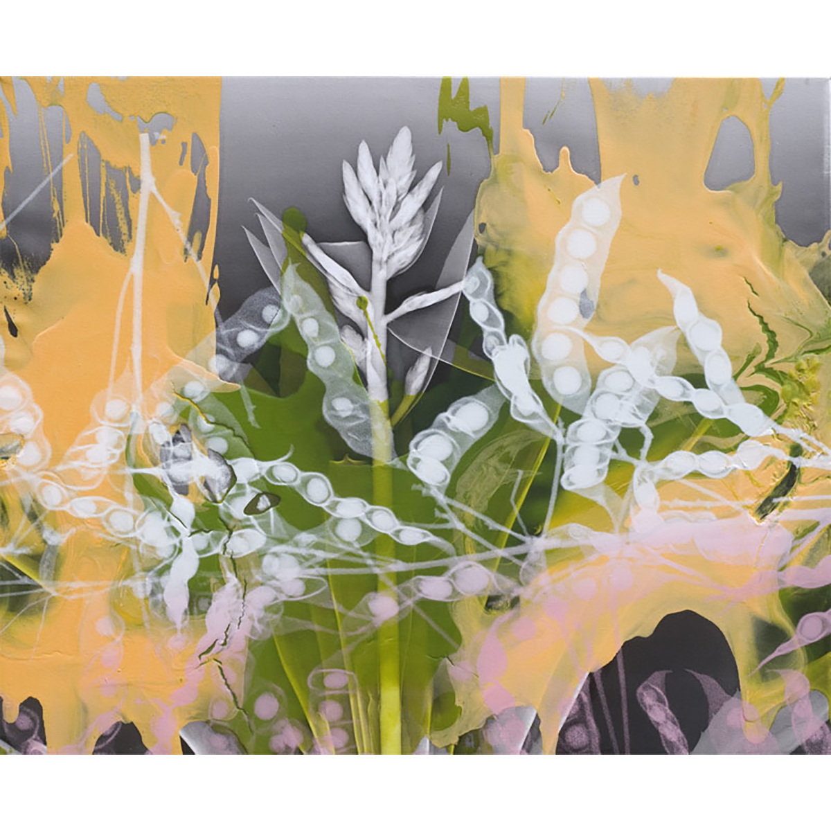 Steve Miller Health of the Planet Series