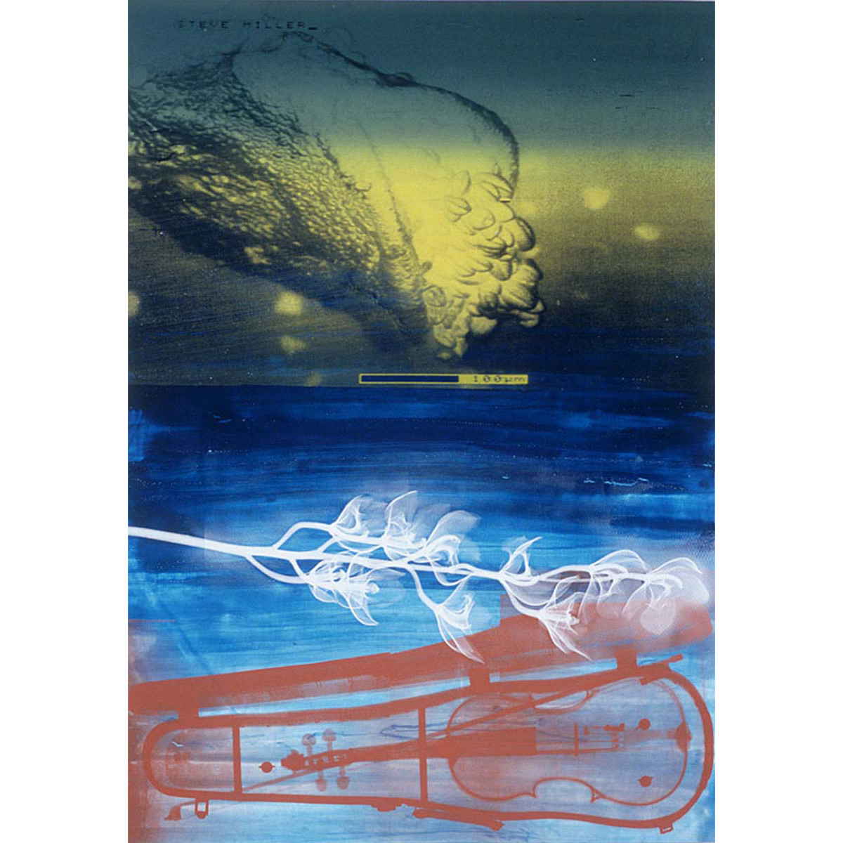 Steve Miller Vanitas Series